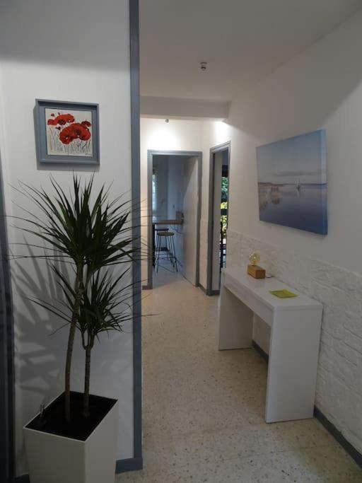 Grande Maison 3 Chambres - Jardin, Terrasse Et Parking - Bord De Mer Torreilles Extérieur photo